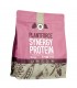 PLANTFORCE Synergy protein berry 800g